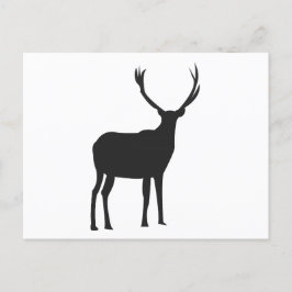 Herten Mooie Geweiën Briefkaart