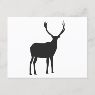 Herten Mooie Geweiën Briefkaart