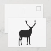 Herten Mooie Geweiën Briefkaart (Voorkant / Achterkant)