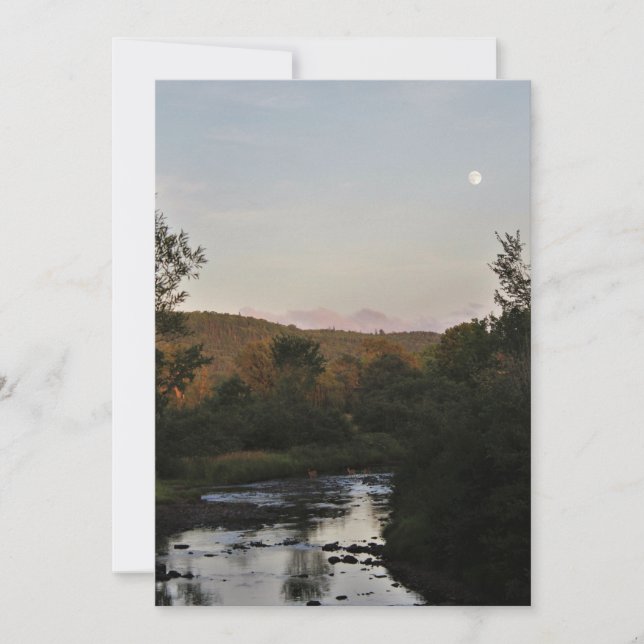 Herten onder de Maan (Voorkant)