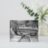 Herten onder een Japanse brug Briefkaart (Staand voorkant)