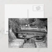 Herten onder een Japanse brug Briefkaart (Voorkant / Achterkant)