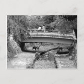 Herten onder een Japanse brug Briefkaart (Voorkant)