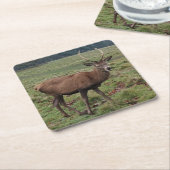 Herten Onderzetters (Schuin)