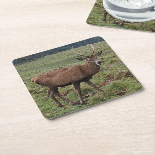 Herten Onderzetters (Schuin)