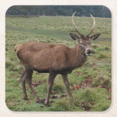 Herten Onderzetters (Voorkant)