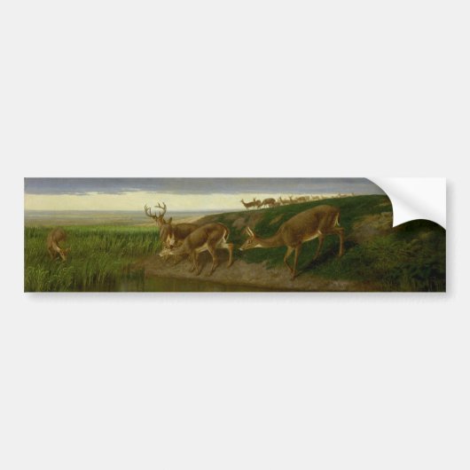 Herten op de Prairie (door William Holbrook Beard) Bumpersticker (Voorkant)