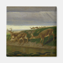 Herten op de Prairie (door William Holbrook Beard)