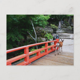 Herten oversteken Japanse brug Briefkaart