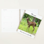 Herten Planner (Display)