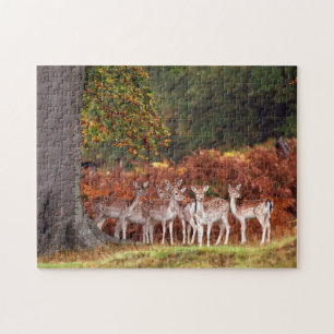 Herten Spel Puzzel