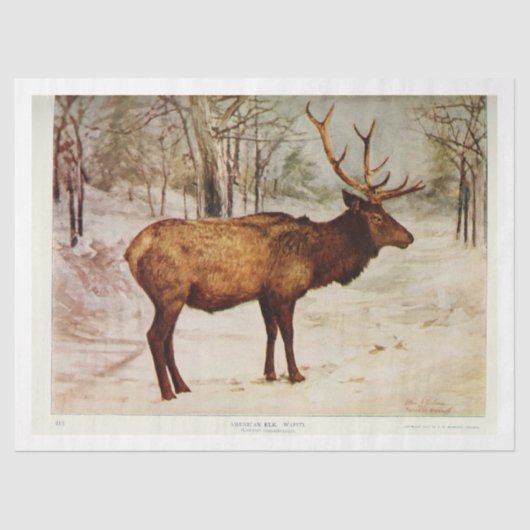  herten Stag Elk Ephemera Decoupage Tissuepapier (Voorkant)