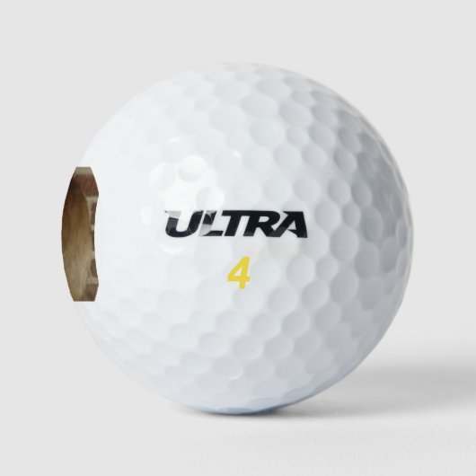 Herten trofee golfballen (Logo)