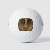 Herten trofee golfballen (Voorkant)