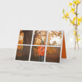 Herten verkleed als jager in raam en bossen kaart (Gele Bloem)