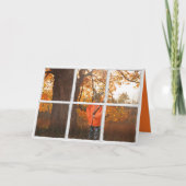 Herten verkleed als jager in raam en bossen kaart (Voorkant)