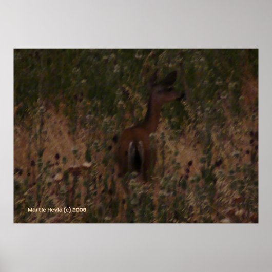 Herten verstoppen zich in droog gras poster (Voorkant)