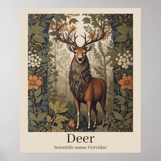 Herten Wetenschappelijke naam Wildlife Poster (Voorkant)