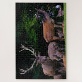 Herten Wilde Bok Natuur Koppel Gewei Herten Legpuzzel (Verticaal)