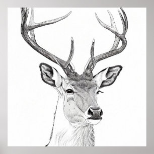 Herten Wilde Natuur Dierlijke Illustratie Kunst Te Poster