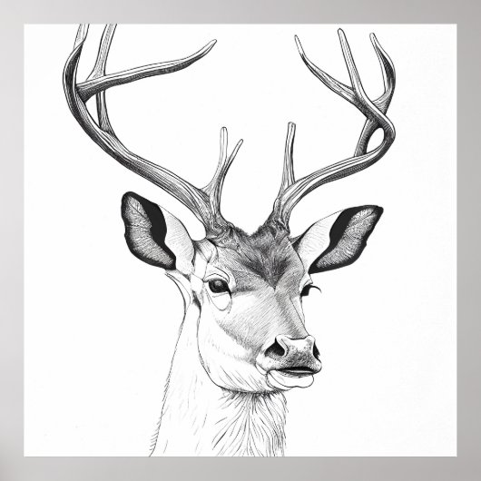 Herten Wilde Natuur Dierlijke Illustratie Kunst Te Poster (Voorkant)