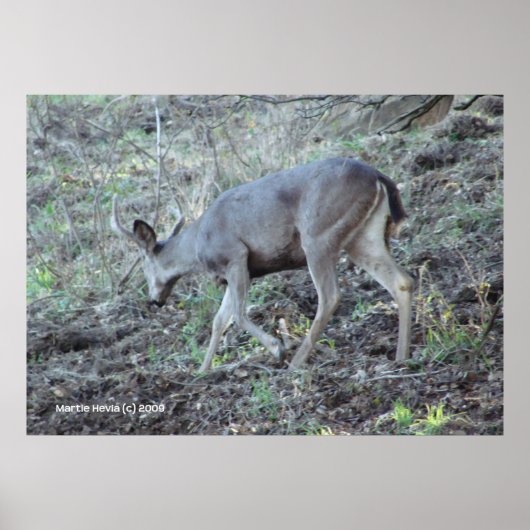 Herten zoeken poster (Voorkant)