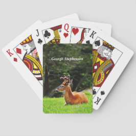 Hertenbok in bebost weiland Personaliseer Pokerkaarten