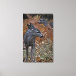 Hertenfamilie - baby canvas afdruk