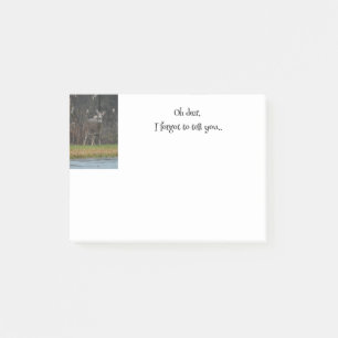 Hertenfoto Herinnering Post-it® Notes