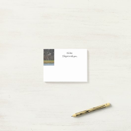 Hertenfoto Herinnering Post-it® Notes (Op bureau)