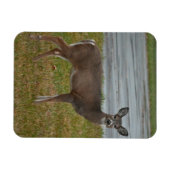 Hertenfotomagneet Magneet (Horizontaal)