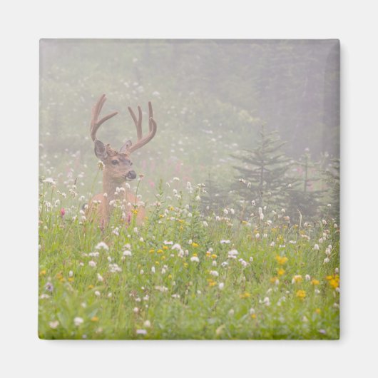 Hertengewei | Mount Rainier National Park Magneet (Voorkant)