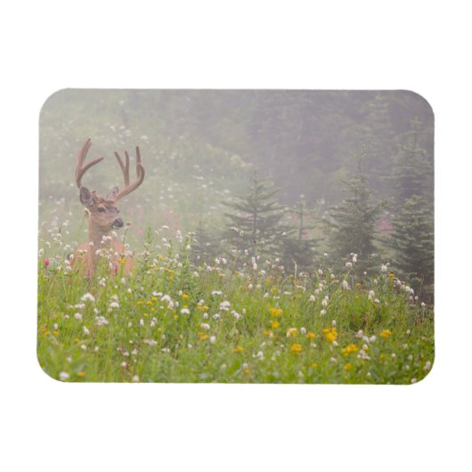 Hertengewei | Mount Rainier National Park Magneet (Horizontaal)