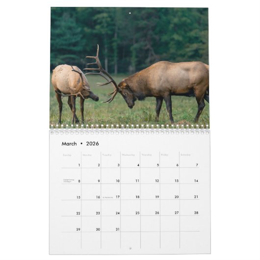 hertenkalender 2023 kalender (Mar 2026)