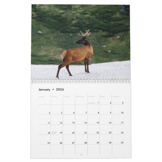 hertenkalender 2023 kalender (Jan 2026)