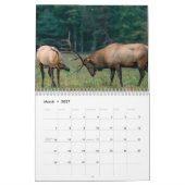 hertenkalender 2023 kalender (Mar 2027)