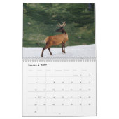 hertenkalender 2023 kalender (Jan 2027)