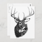 hertenkopgif briefkaart (Voorkant / Achterkant)