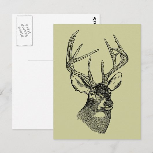  hertenkunst briefkaart (Voorkant / Achterkant)