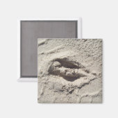 Hertenspoor Magneet (Voorkant / Achterkant)