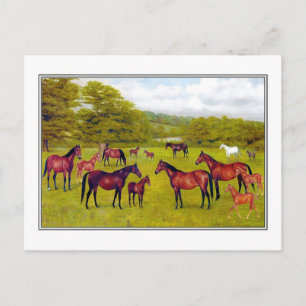 Hertog van Westminster's Mares en Veulen Briefkaart