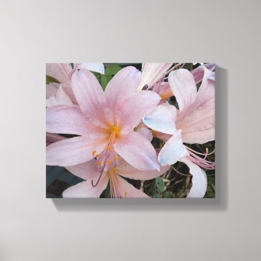 Herurrectie Lily Canvas Afdruk (Voorkant)