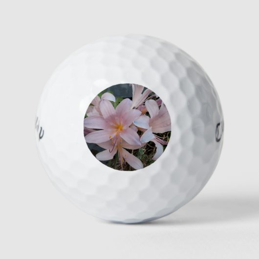 Herurrectie Lily Golfballen (Voorkant)
