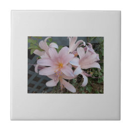 Herurrectie Lily Tegeltje