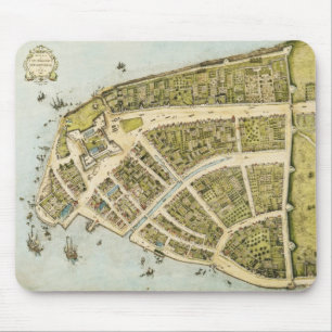Hervorming van het Castello-plan in 1660 in New Am Muismat