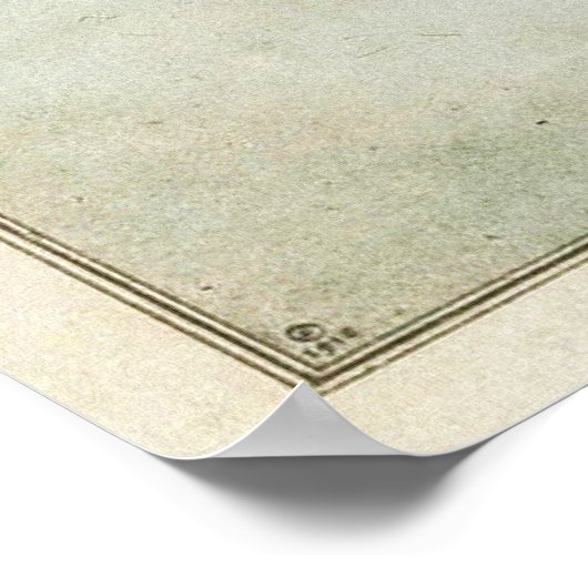 Hervorming van het Castello-plan in 1660 in New Am Poster (Hoek)