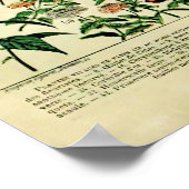 Herwerkte Adolphe Millot Natuur Posters: Poster (Hoek)