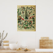 Herwerkte Adolphe Millot Natuur Posters: Poster (Keuken)