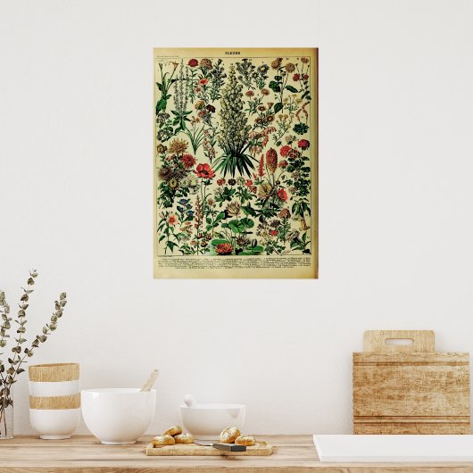 Herwerkte Adolphe Millot Natuur Posters: Poster (Keuken)