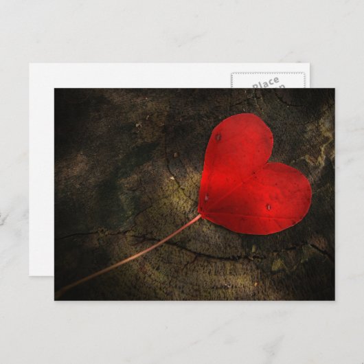 Herzblatt Briefkaart (Voorkant / Achterkant)